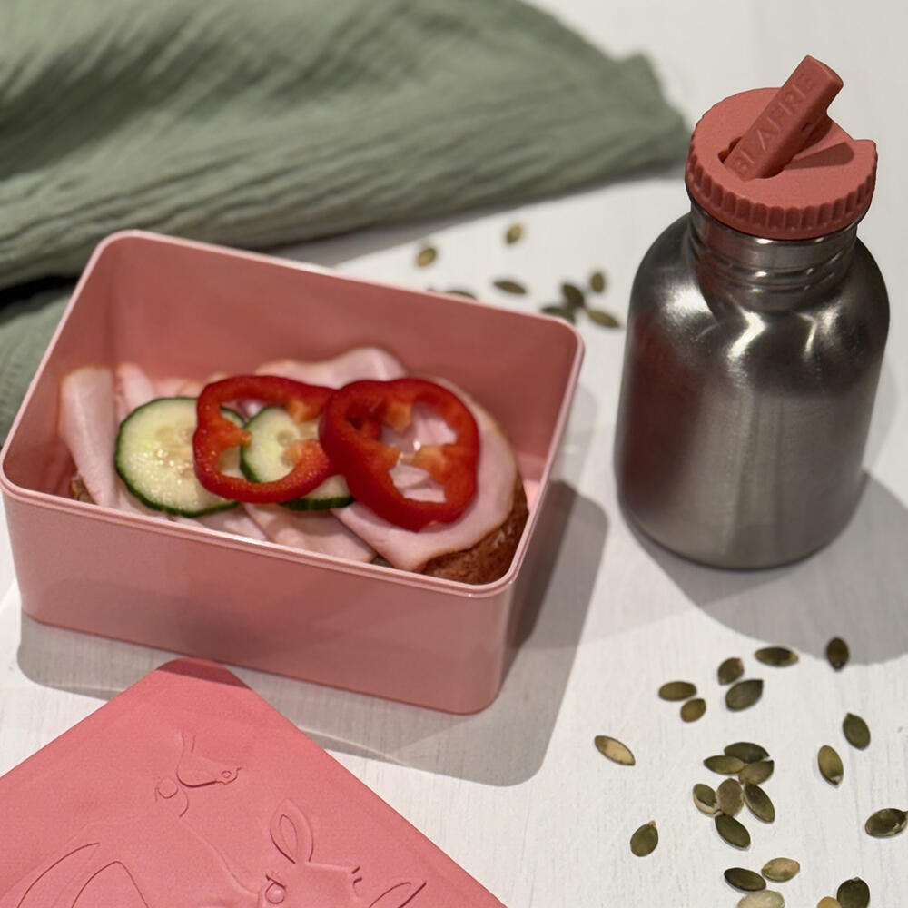 Blafre matboks i plast ett rom - Rådyr Rosa - Homy