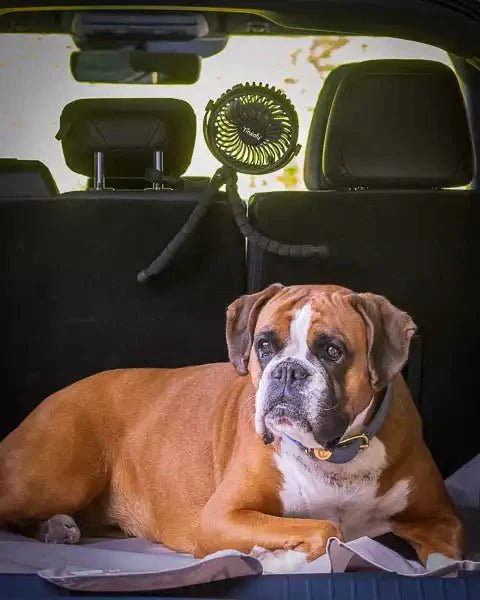 Tinkafu Oppladbar Vifte til Barnevogn – Svart - Homy